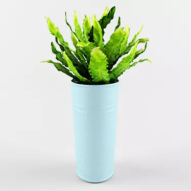 Lush Asplenium: Compact 30cm Plant 3D model image 1 