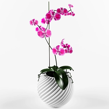 Vampiric Orchid: The Energetic Indoor Flower 3D model image 1 