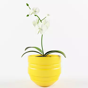 Lovely Plant 3D model image 1 