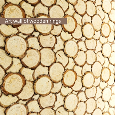 Wooden Ring Art Wall Decoration 3D model image 1 