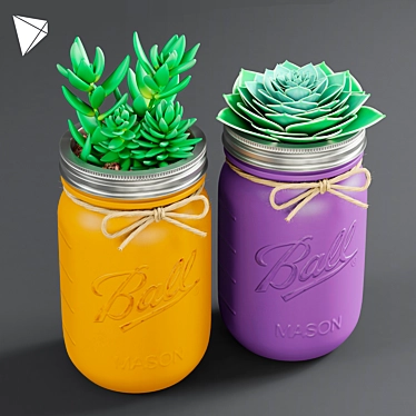 Mason Jar Succulent Duo 3D model image 1 