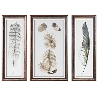 Feather Study Wall Art Trio 3D model image 1 