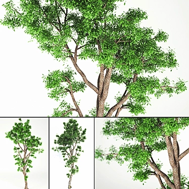 20-Tree: High Poly, Ultimate Joy 3D model image 1 