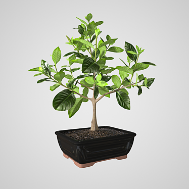 Elegant Gardenia Sculpture 3D model image 1 