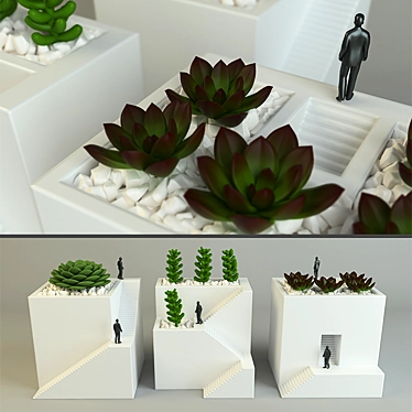 Quirky Cube Vases with Cactus 3D model image 1 