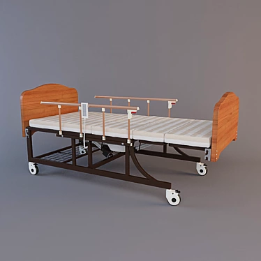 Electric Bed with Toilet - FD-3 3D model image 1 