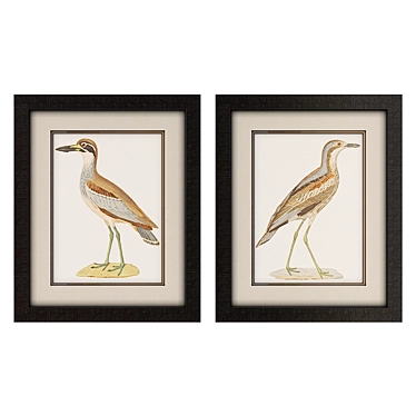 Coastal Seabird Framed Art 3D model image 1 