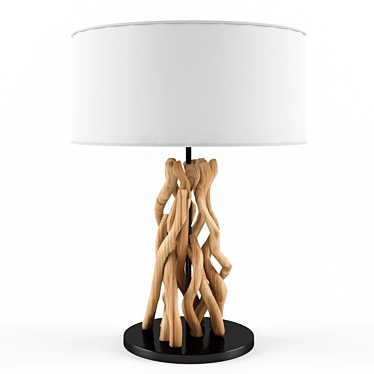 Rustic Driftwood Table Lamp 3D model image 1 