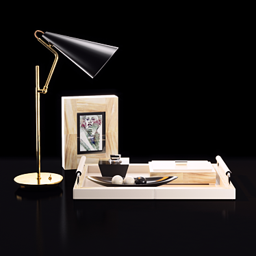 Elegant Decor Set: Desk Lamp, Horn Tray 3D model image 1 