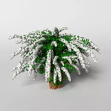 Grefsheim Spirea: 372k Polygons 3D model image 1 