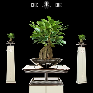 Art Edge Flower Stand and Ficus 3D model image 1 