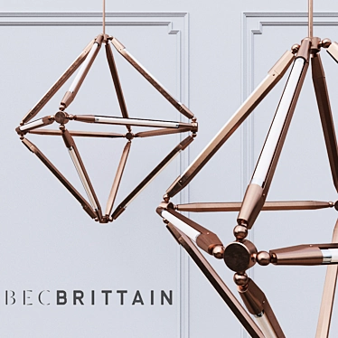 Elegant Illuminating Sculpture: Bec Brittain_SHY 10 3D model image 1 