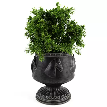 Lush Greenery in a Pot 3D model image 1 