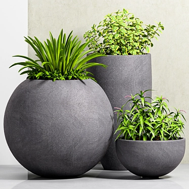 Modern Planters Set 3D model image 1 