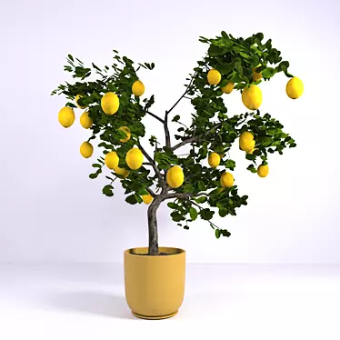 Lively Lemon Tree 3D model image 1 