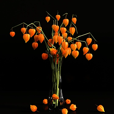 Chinese Lanterns in Vase 3D model image 1 