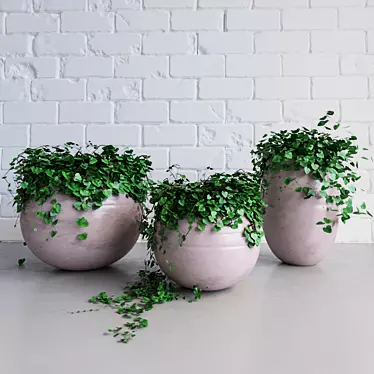 Elegance in Green: Ivy Pots 3D model image 1 