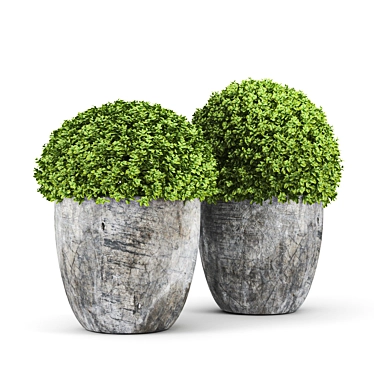 High-Quality Bush 3D Model 3D model image 1 