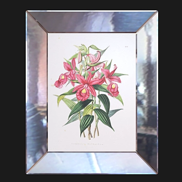 Elegant Orchids in Mirror Frame 3D model image 1 