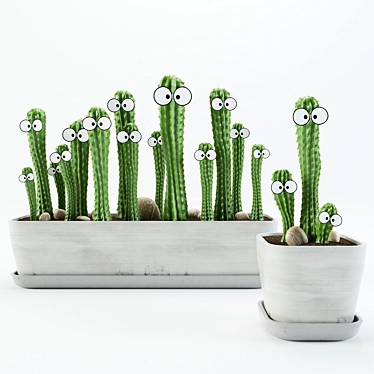 Eye-catching Cactus Duo in Vases 3D model image 1 