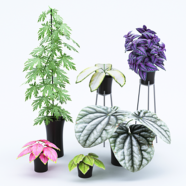 Tropical Paradise: Exquisite Plant Set 3D model image 1 