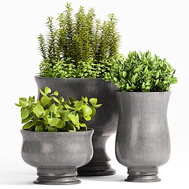 Modern Plant Decor Set 3D model image 1 