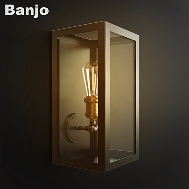 Elegant Banjo Wall Sconce 3D model image 1 