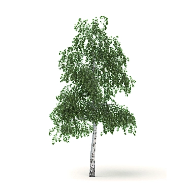3D Birch Tree - Adjustable Leaf Color 3D model image 1 