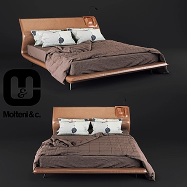 Italian Made Molteni&C Bed 3D model image 1 