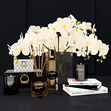 Aromatique Orchid & Book Decor Set 3D model image 1 
