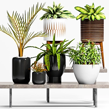 Elegant Planters Set -50% 3D model image 1 