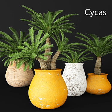 Elegant Cycas Plant Collection 3D model image 1 