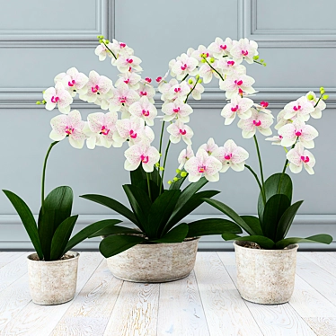 Ethereal White Orchids 3D model image 1 