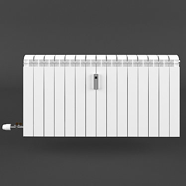 Heatwave Radiator with Thermometer 3D model image 1 