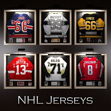 NHL Stars Hockey Jerseys - Limited Edition 3D model image 1 