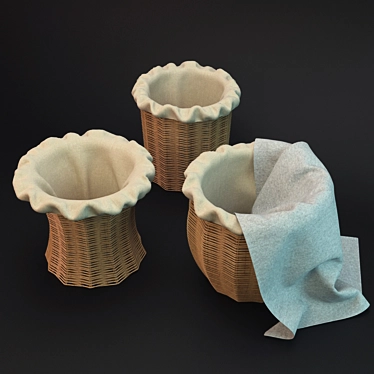 Handwoven Rattan Basket Set 3D model image 1 