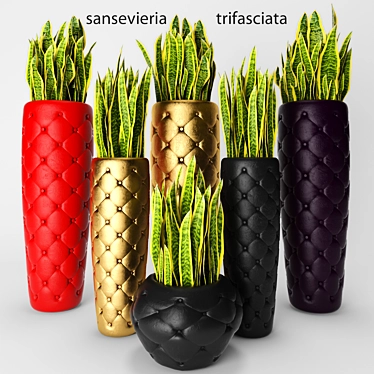 Sleek Snake Plant: Sansevieria trifasciata 3D model image 1 