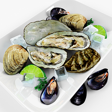 Delicious Bivalve Delights 3D model image 1 