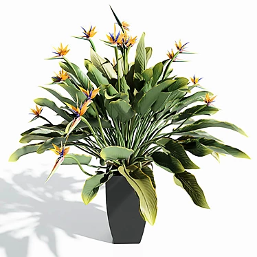 Tropical Bird of Paradise: 3D Decor Plant 3D model image 1 