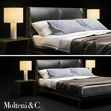 Modern Double Bed by Molteni 3D model image 1 