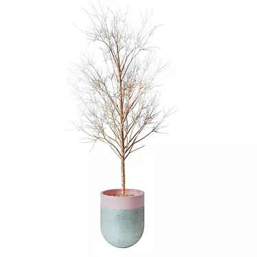 Exquisite Potted Tree 3D model image 1 
