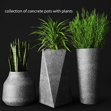 Urban Oasis: Concrete Pot Set with Plants 3D model image 1 