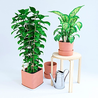 Ikea coffee dieffenbachia