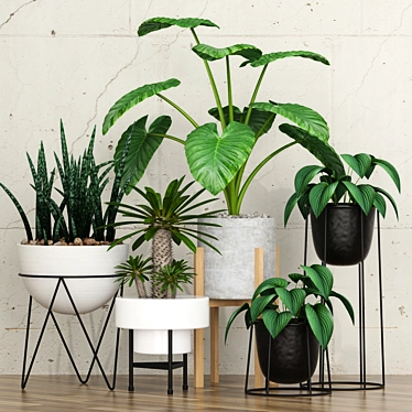 Green Oasis: Live Potted Plants 3D model image 1 