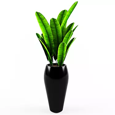 Tropical Vibes: Indoor Banana Tree! 3D model image 1 