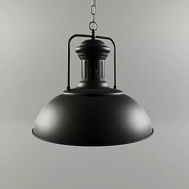 Industrial Ceiling Lamp - 33cm 3D model image 1 