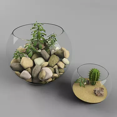 EcoSphere Glass Terrarium 3D model image 1 