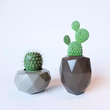 Title: Prickly Potted Cactus Duo 3D model image 1 