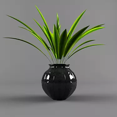 Houseplant Dark Green