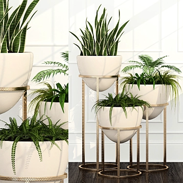 14 Unique Room Plants Set 3D model image 1 